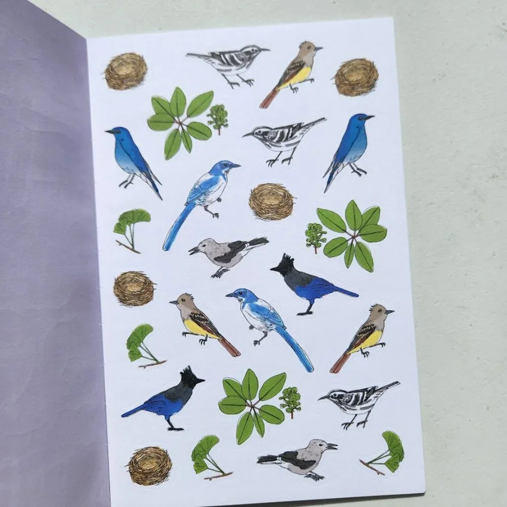 Nature Anatomy Sticker Book Julia Rothman 750 Stickers birds, feathers, wildflow
